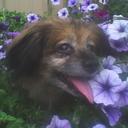 Randi Lee Hartsell - @Randihorse - Twitter