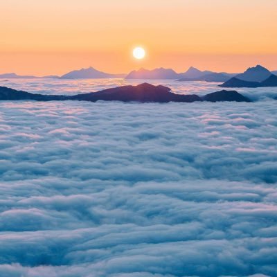 Tw07170Tran's profile picture. 