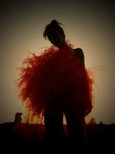 I dance. I create. I live. Choreographer. Dancer. Artistic Director of NYC's LMproject