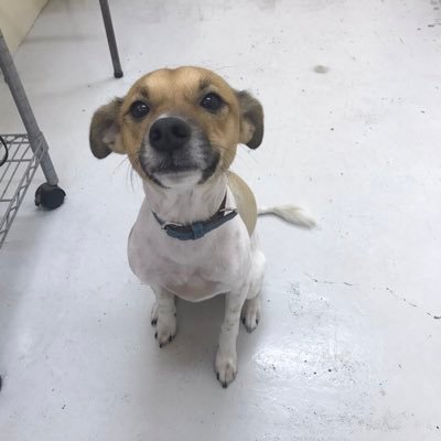 SAS792598121's profile picture. 