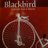 BlackbirdTopeka's profile image