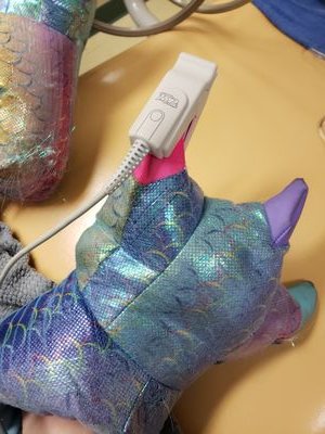 CaputoDDS's profile picture. Dentist, Anesthesiologist, Educator, Patient Safety Advocate! Take the time to prepare and never forget you're caring for a person. Posts are my own.