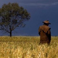 Bob Hunter (@oz_bob_hunter) 's Twitter Profile