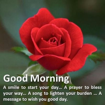 John93850839's profile picture. hello