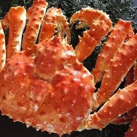 タラバガニさんのプロフィール画像