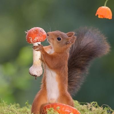 aj3v4n5's profile picture. RPGs, Painting Minis, Wargames, Music, Python etc whenever not doing dad, husband and finance things