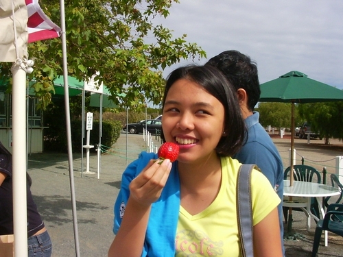 Filipino aspiring to be a music therapist; psychology graduate, music student, Hangad member,JVP, lover of life and God. :)