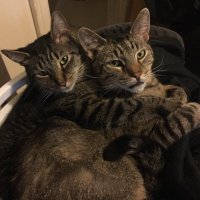 mariadiblase765 (@mariadiblase765) 's Twitter Profile