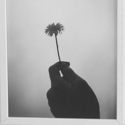 defstan01061's profile picture. 아가새💚