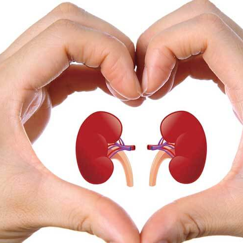 New treatment for kidney disease.Get free suggestion to kidney patient.