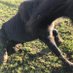 Rescue Ranch UK charity number 1183565 (@ranch_uk) Twitter profile photo Rescue Ranch UK charity number 1183565 (@ranch_uk) Twitter profile photo