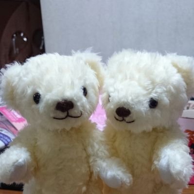 ট ইট র むぅちょん 昨日はひまわりラーメンさん 唐揚げ弁当 ジューシー ボリューム 今日はロビンフッドさん ビーフヒレカツ弁当 柔らかっ テイクアウトし 美味しくいただきましたー 加古川エール飯 加古川テイクアウト ひまわり