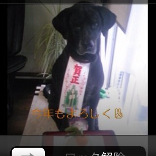 grvlife's profile picture. 