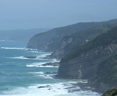 GreyCliffs's profile picture. Activist, campaigner, permaculturalist, politician, and swords man (we all need a hobby) - trying to save the world and grow food at the same time.