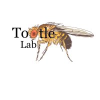 Dr. Tina Tootle (@tinatootle) 's Twitter Profile Photo Dr. Tina Tootle (@tinatootle) 's Twitter Profile Photo