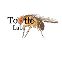 Dr. Tina Tootle(@TinaTootle) 's Twitter Profile Photo