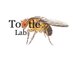 Dr. Tina Tootle (@tinatootle) Twitter profile photo Dr. Tina Tootle (@tinatootle) Twitter profile photo