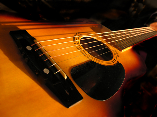 thaxtor's profile picture. 