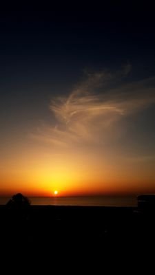 husambomkhlat's profile picture. ولا شي