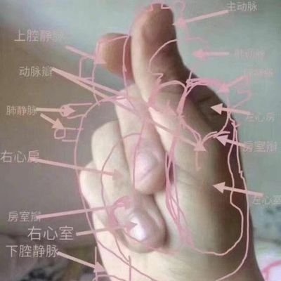 Zhou_qqing's profile picture. 想当懒猫是终极梦