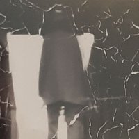 Zarria Phillips 🌹#BDS (@indigobanana23) 's Twitter Profile Photo