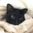 nekoneko_smash's profile image