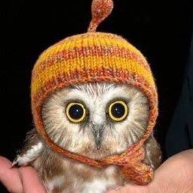 McAnallyJohn's profile picture. 