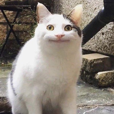 D:\важное\преколы Profile