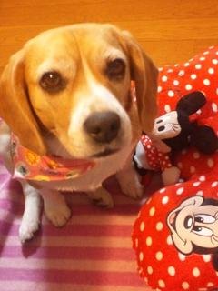 HirokunMk's profile picture. 賀喜遥香神推し！乃木坂46大好き！アニメ大好き！宇宙大好き！