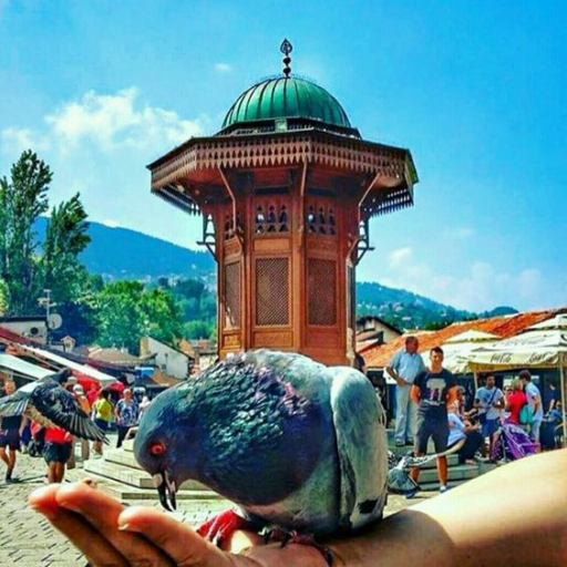 sya7a_bosna's profile picture. للسياحة والسفر وتأجير السيارات

 للتواصل على الرقم
+905312260920
او باضغط على الرابط المرفق ⬇