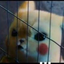 ArSpH2's profile picture. เด็กขี้เงี่ยนคนนึง