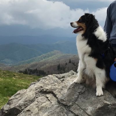 JToxophilite's profile picture. American Patriot 🇺🇸