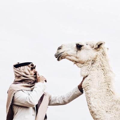 mahmoud_n0fal's profile picture. palestinian 💕 - Amaan / Riyadh • ♧ 10/98