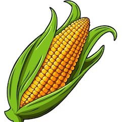 SE MN farmer