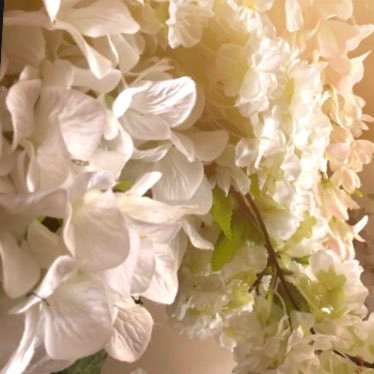 سبحان الله وبحمده سبحان الله العظيم🍃.https://t.co/vtfwSCEswf