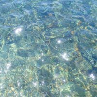 ✨K.O✨ (@sunmoondive) 's Twitter Profile