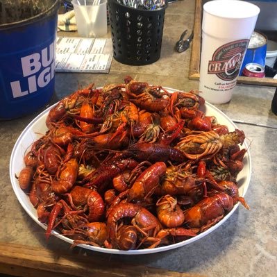 zblazer3's profile picture. just another average Joe