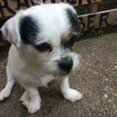 Emmabyram2's profile picture. 🤪🤪🤪🤪🤪