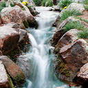 Sue Morrell - @SueAnnMorrell - Twitter