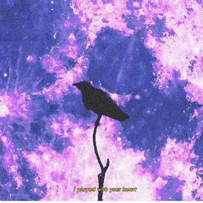 monstercarter99's profile picture. 