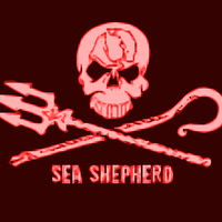 Paul Millard 🇺🇸(@SeaShepherdPaul) 's Twitter Profile Photo