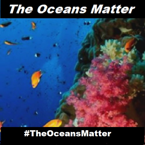 TheOceanMatters Profile Picture