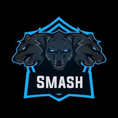 smashfn_'s profile picture. fortshite player