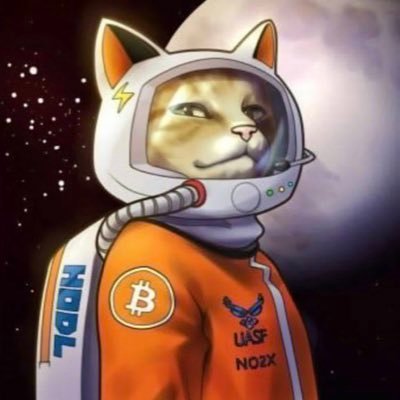 lvincula's profile picture. #BITCOIN #HODL