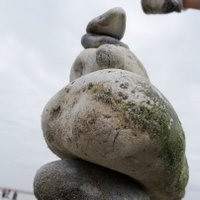 à trop tirer sur la corde, on la casse (@tirersurlacorde) Twitter profile photo