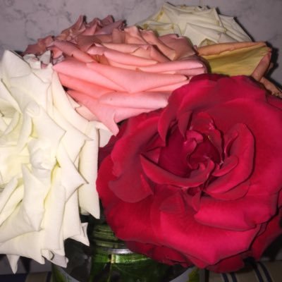 Sarah Zatout Twitterissa في الحب قلبي قبيح منجيش و نطيح صعيب يديني الريح انا ماشي ساهل قالت ليا والدا من ربي كبدا مشي اي واحدى متكونش غافل