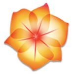 MrsHDrew's profile picture. 