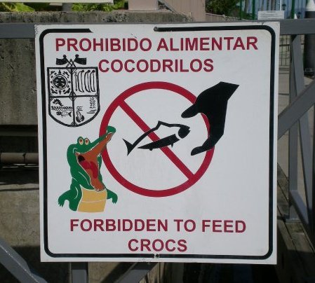 MRap2424's profile picture. Cubs, Illini, DePaul Basketball, Bears, Bulls and Blackhawks fan. V-Fib survivor, a statisitc (in a good way). The pride of Wheeling, IL