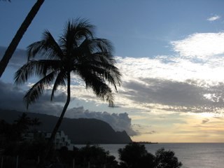 moisgrateful's profile picture. 