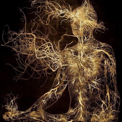 Lqv13Glinda's profile picture. CCRN retired watching the earth die around me. RESISTER! my psyche is is numb!! TODAY! Be AFRAID VERY AFRAID America!🇺🇦          who is next?